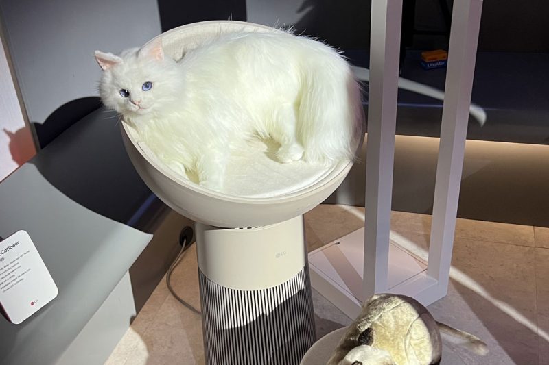 LG’s AeroCatTower: The Air Purifier Designed for Cats Who Think They Own the Place