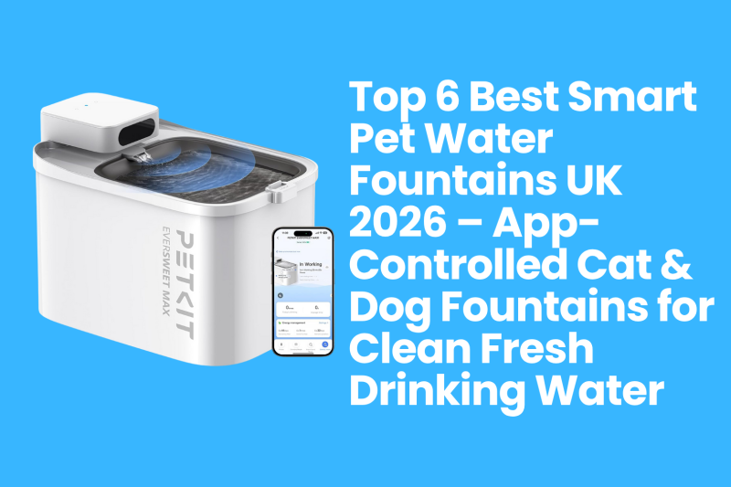 Top 6 Best Smart Pet Water Fountains UK 2026 – App-Controlled Cat & Dog Fountains for Clean Fresh Drinking Water