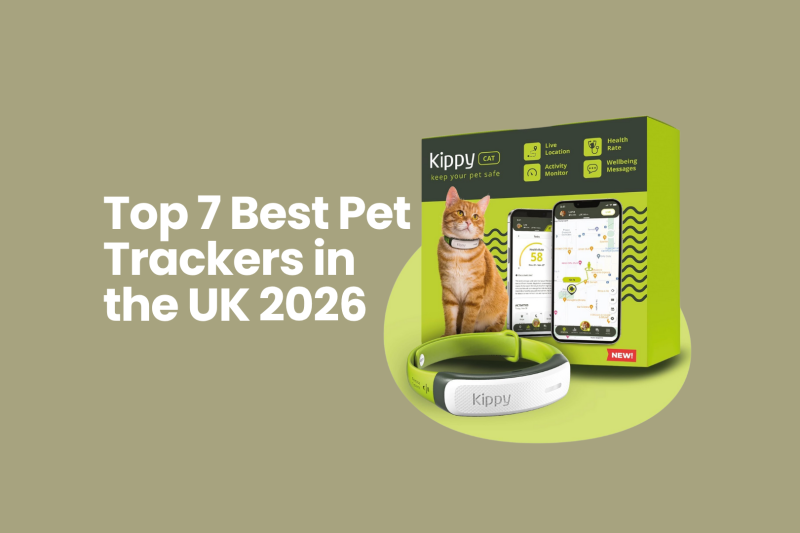 Top 7 Best Pet Trackers in the UK 2026