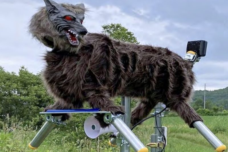 Monster Wolf Robot Gets Residential Upgrade to Combat Japan’s Bear Problem
